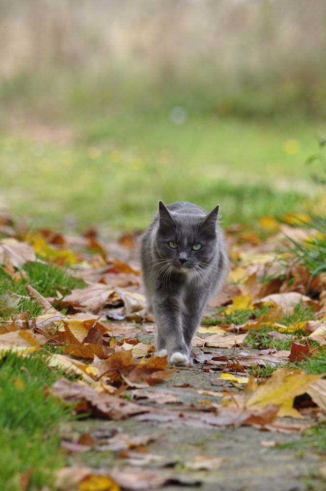 Photograph by Ольга Зиновьева