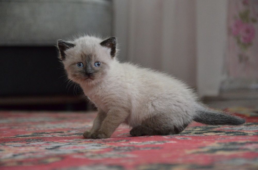 Photograph by Ольга Зиновьева