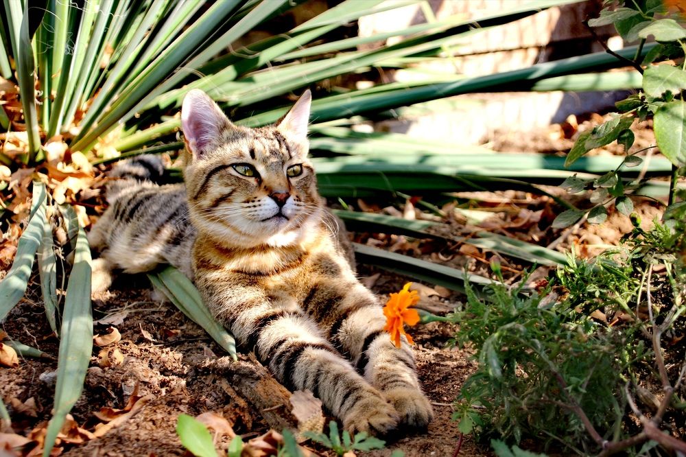 Photograph by Марина