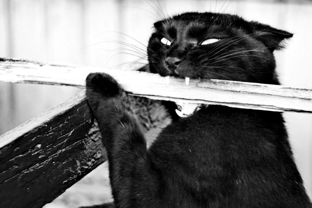 Photograph by Марина