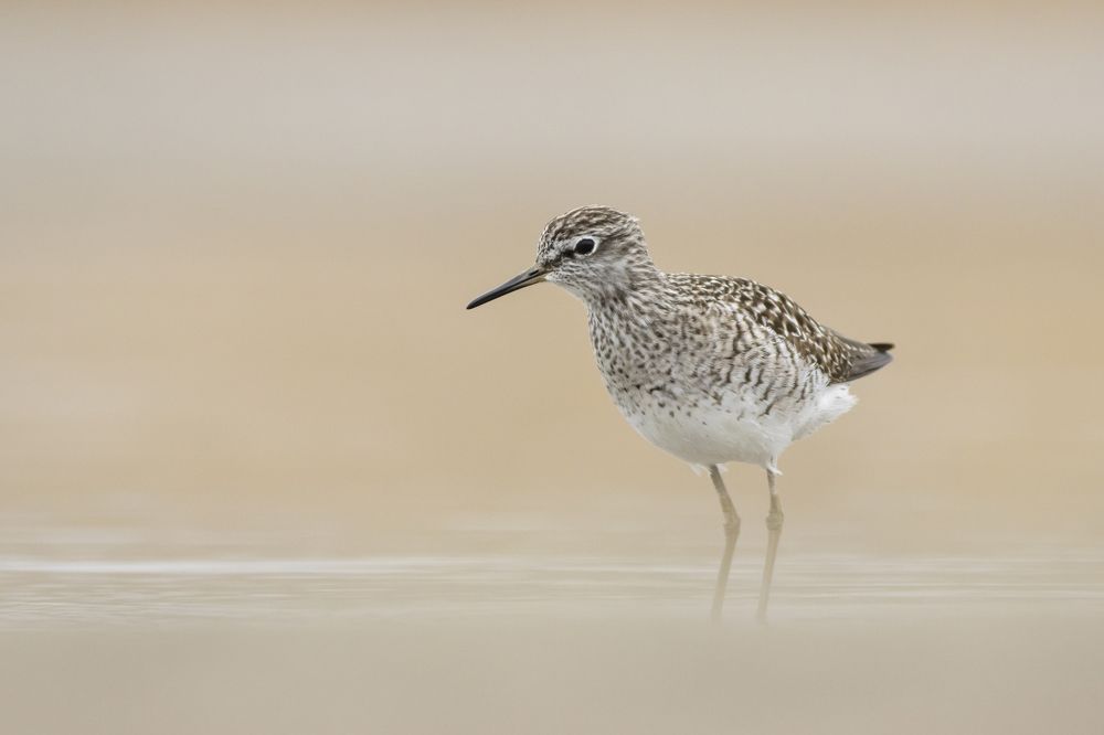 Photograph by Flora Jakab