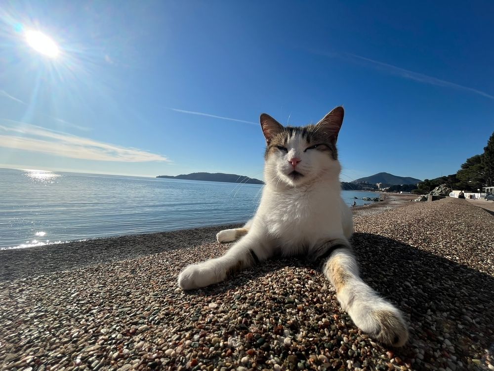 Photograph by Анна Чеснокова