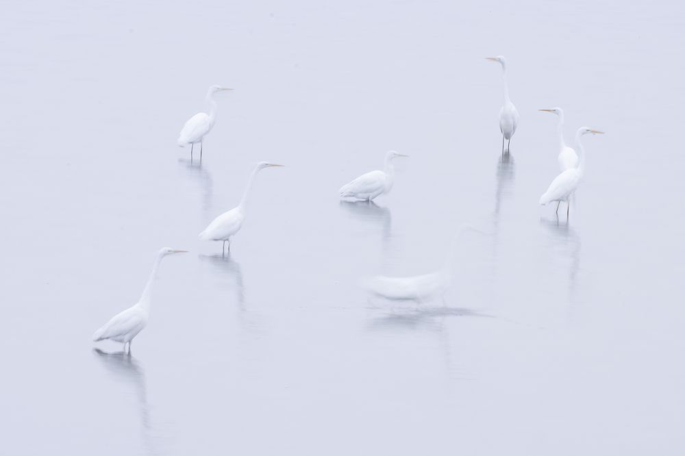 Photograph by Flora Jakab