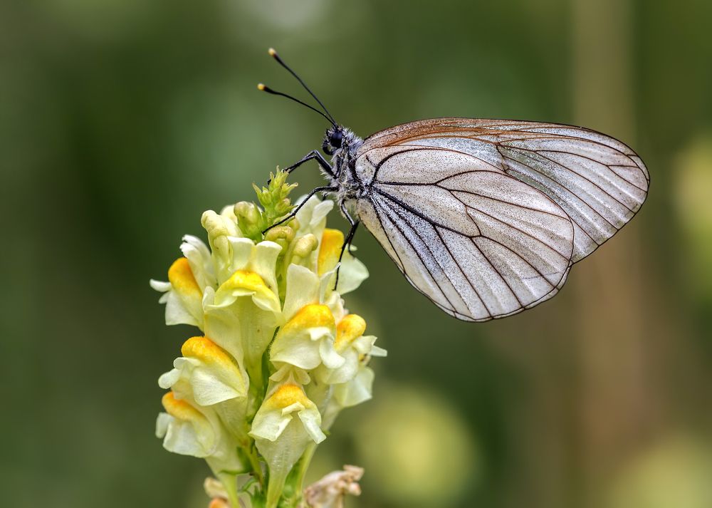 Photograph by Борис Новиков