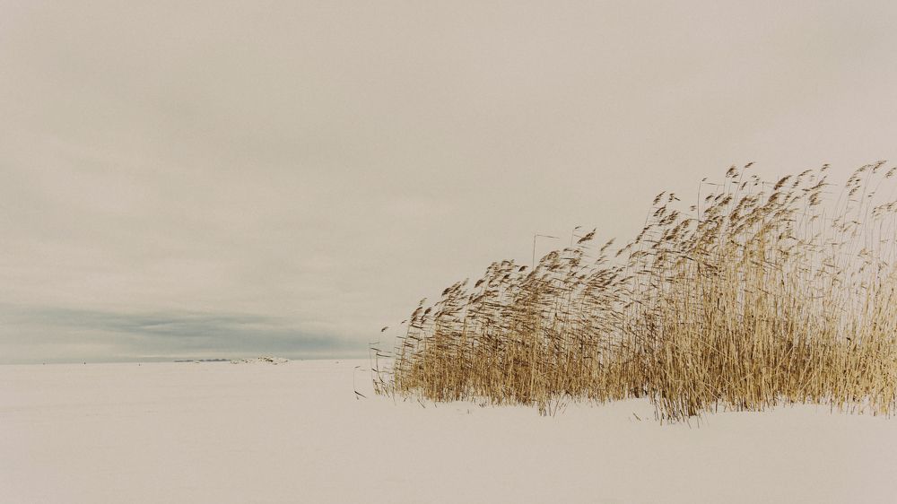 Photograph by Alex