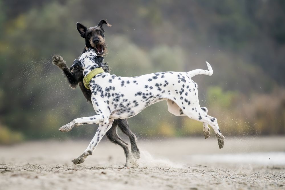 Photograph by Flora Jakab