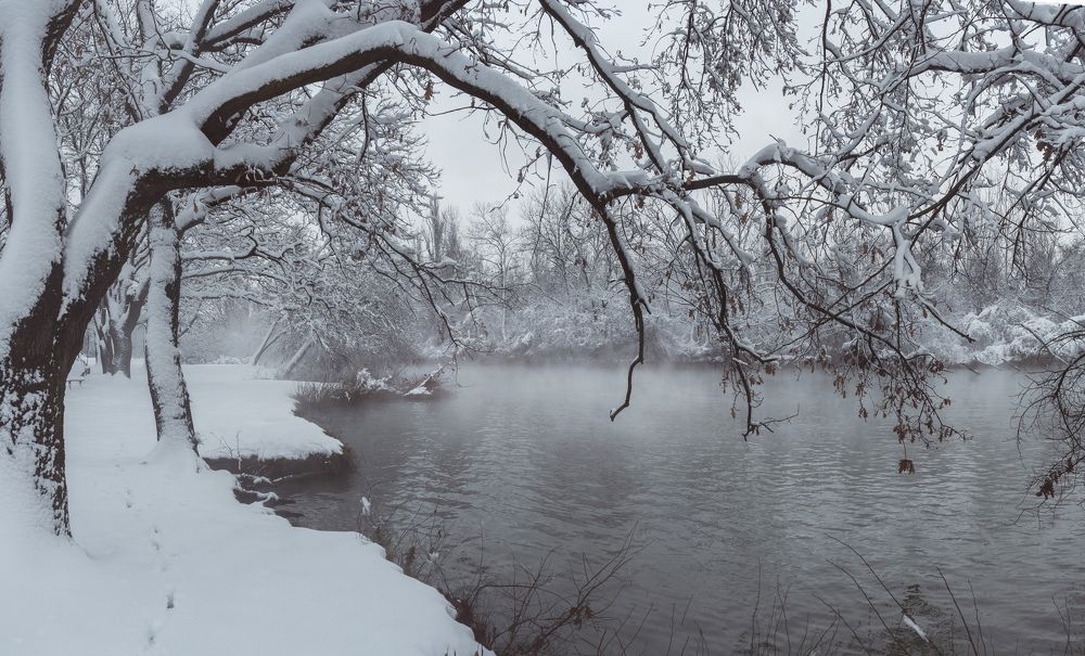 Photograph by Щербак Анатолий