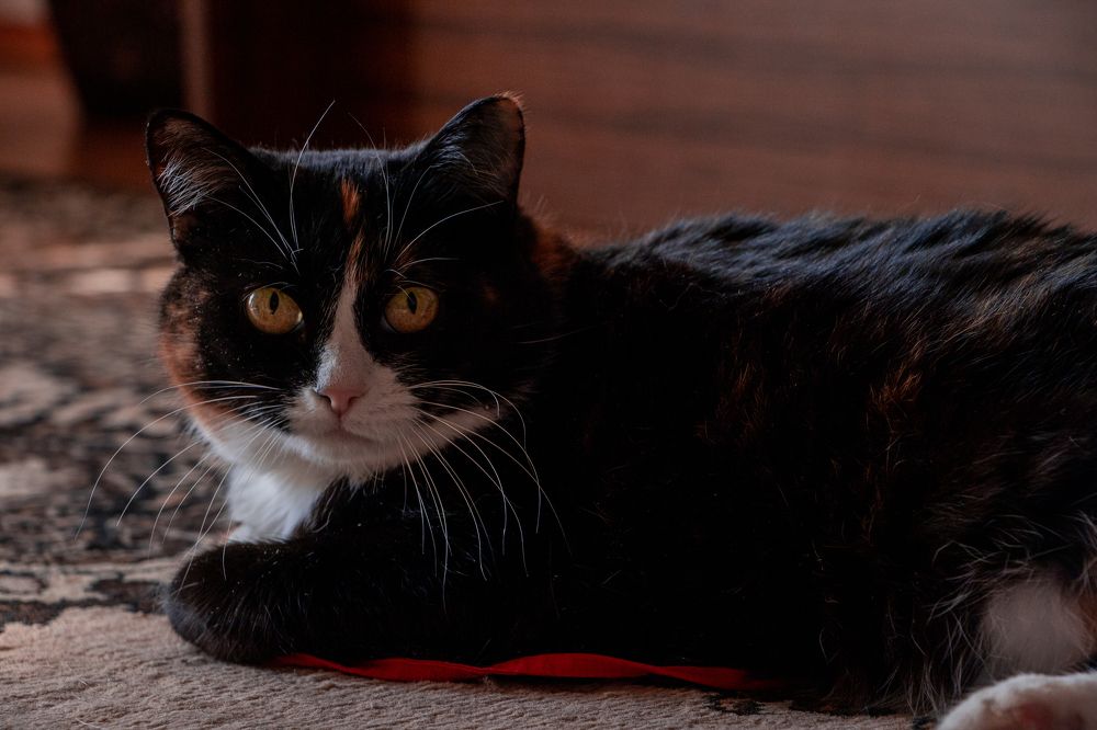 Photograph by Александр Савинов