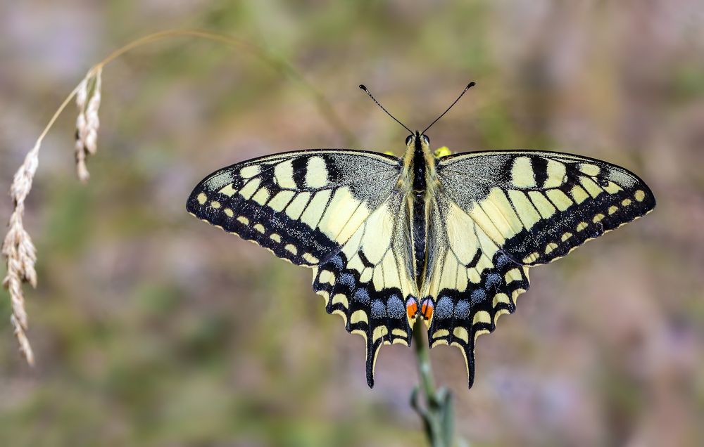 Photograph by Борис Новиков