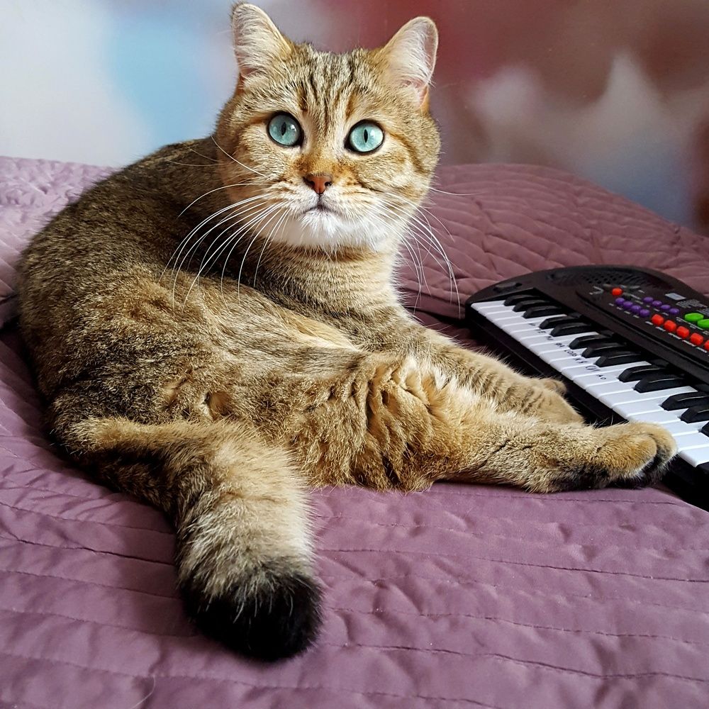 Photograph by Ольга Лысенко