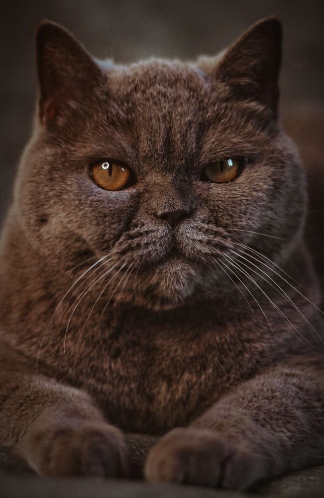 Photograph by Евгений Белов