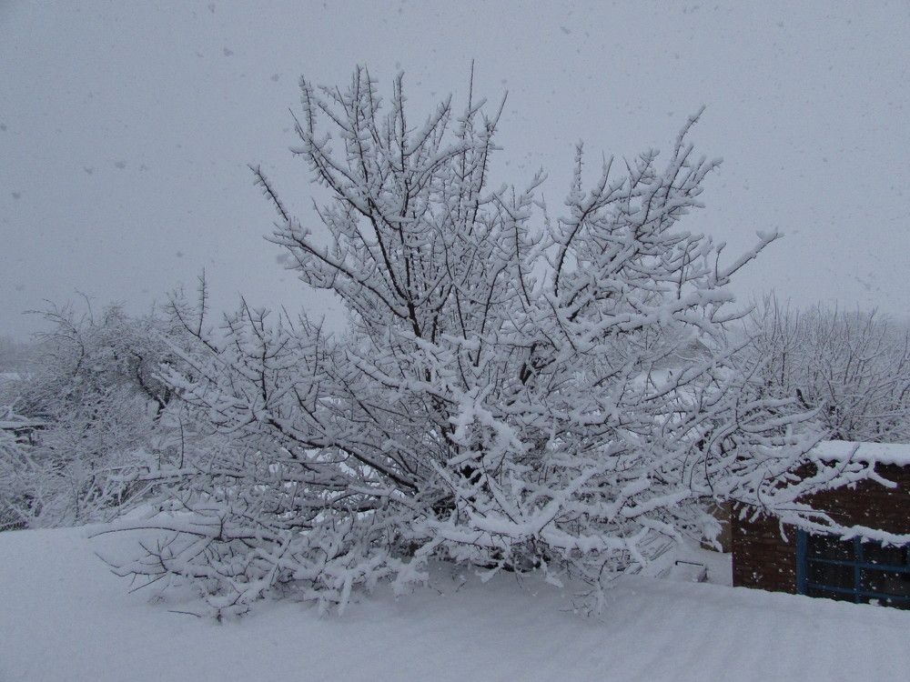 Photograph by Елена Кузнецова