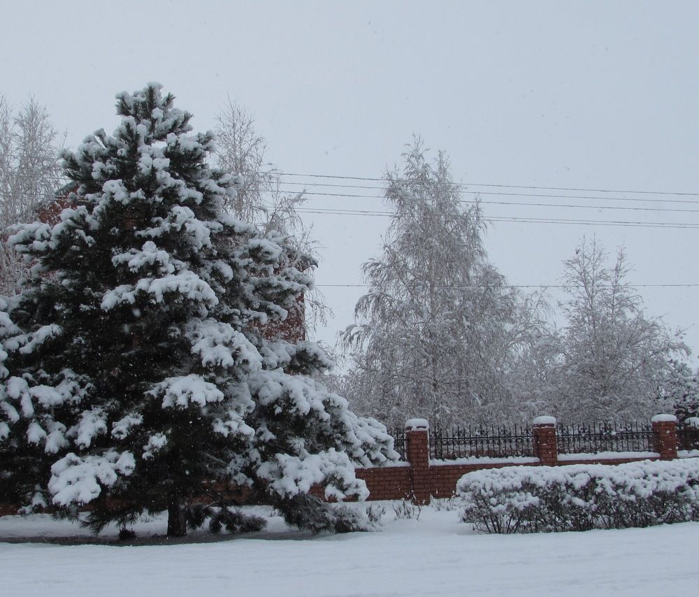 Photograph by Елена Кузнецова