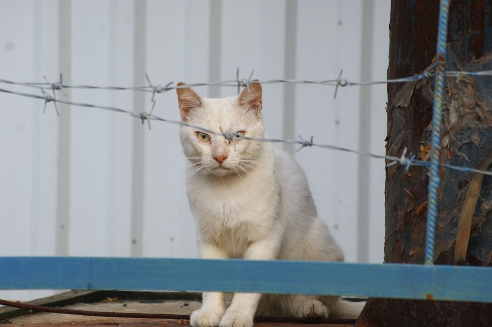 Фотография автора Владимир Ступинский