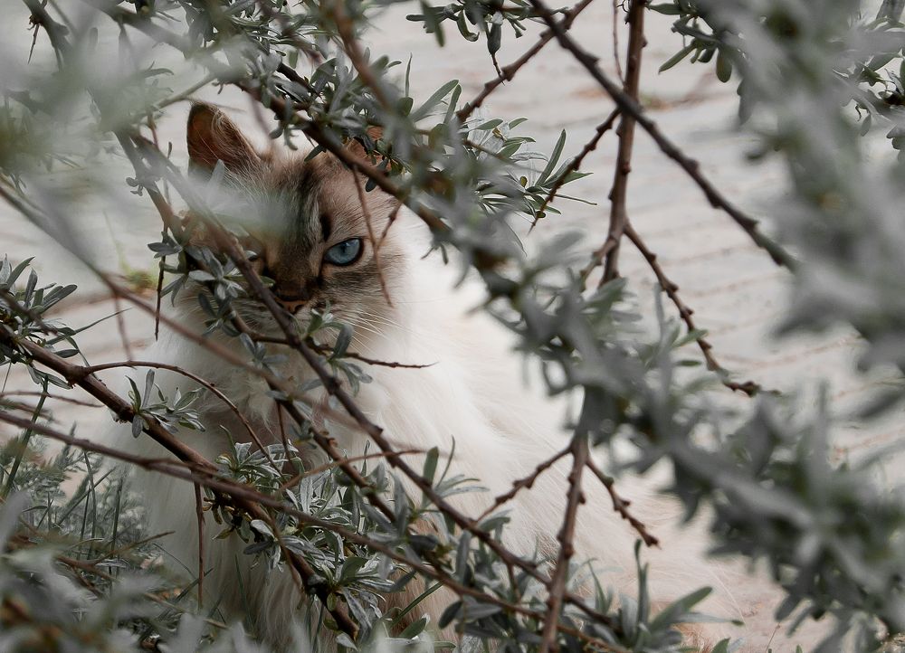 Фотография автора Владимир Ступинский