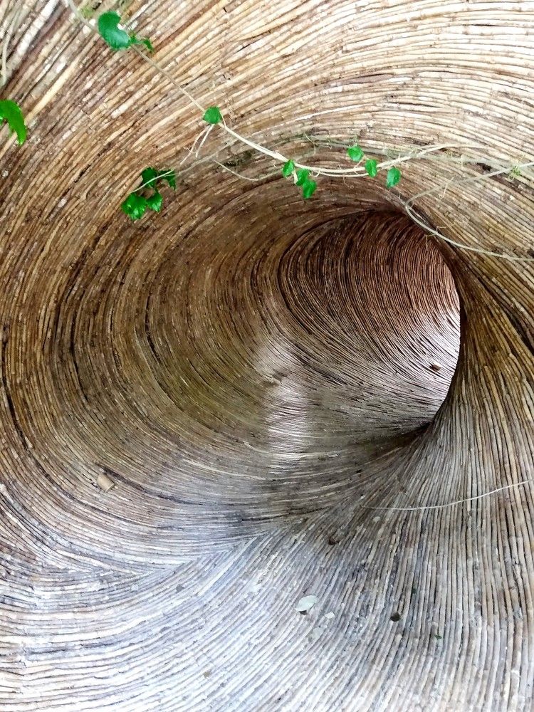 Photograph by José Luis Mendoza Machado