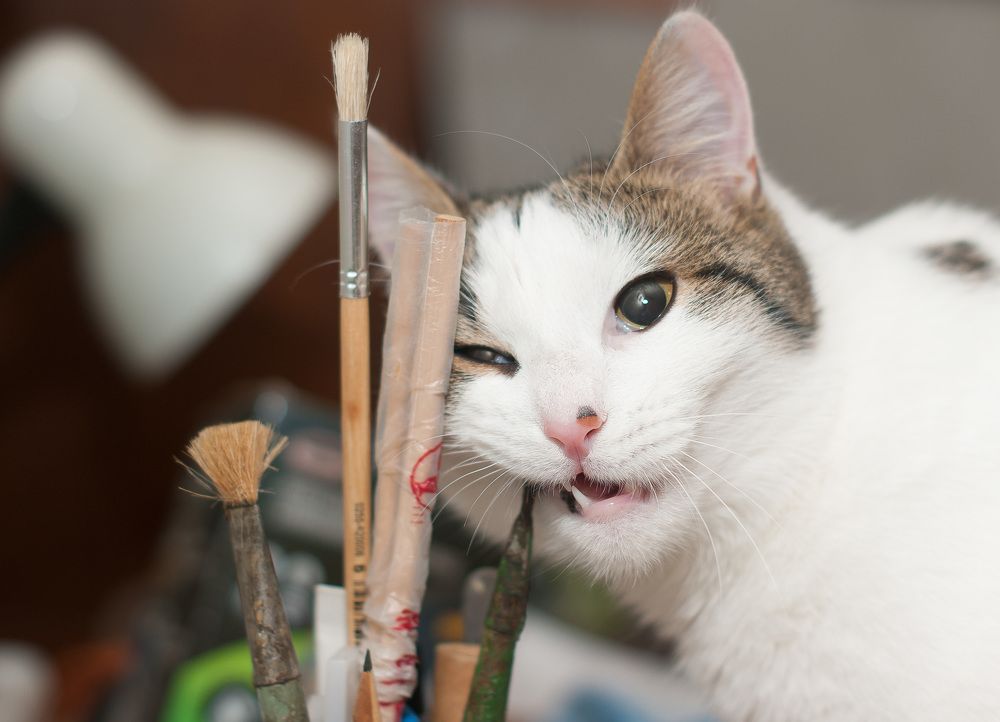 Фотография автора Владимир Ступинский