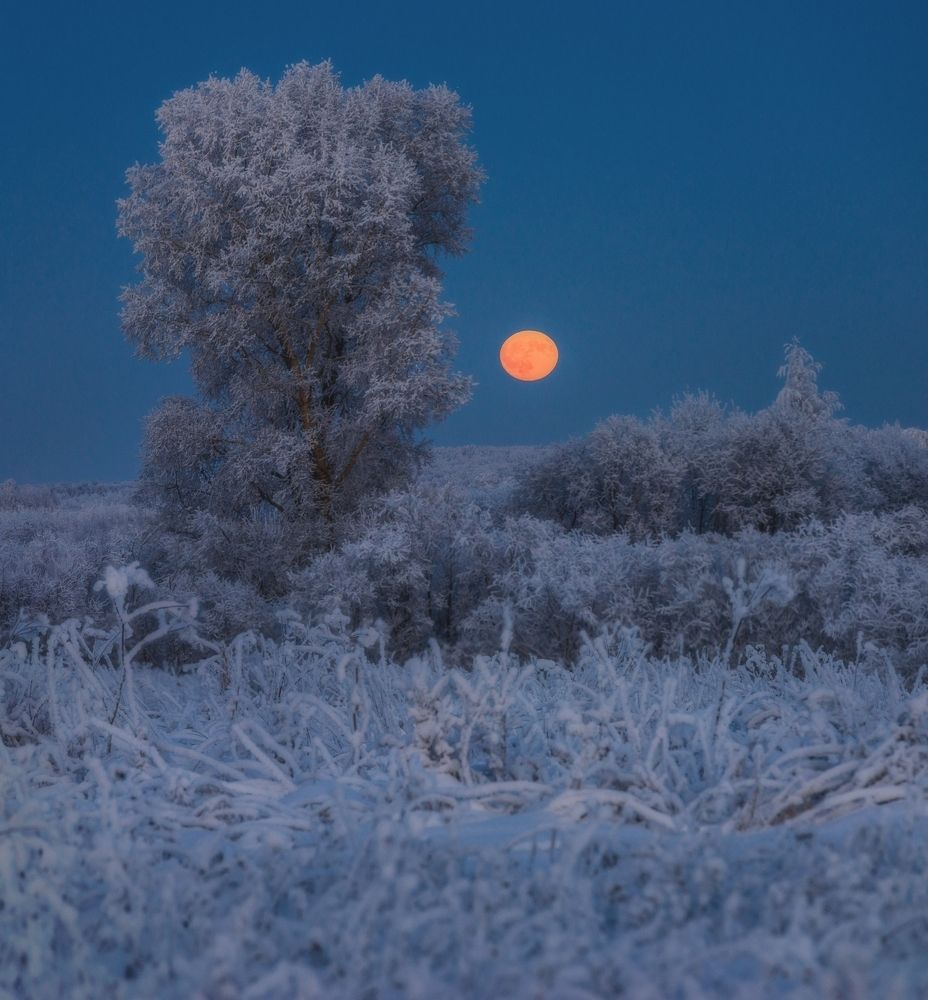 Photograph by  Михаил