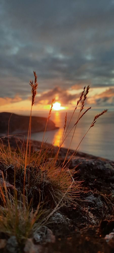 Баренцево море - Закат