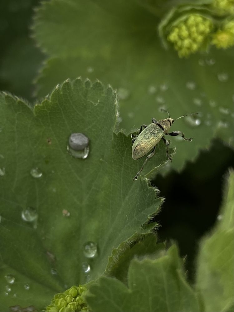 Photograph by Katya Guchenko