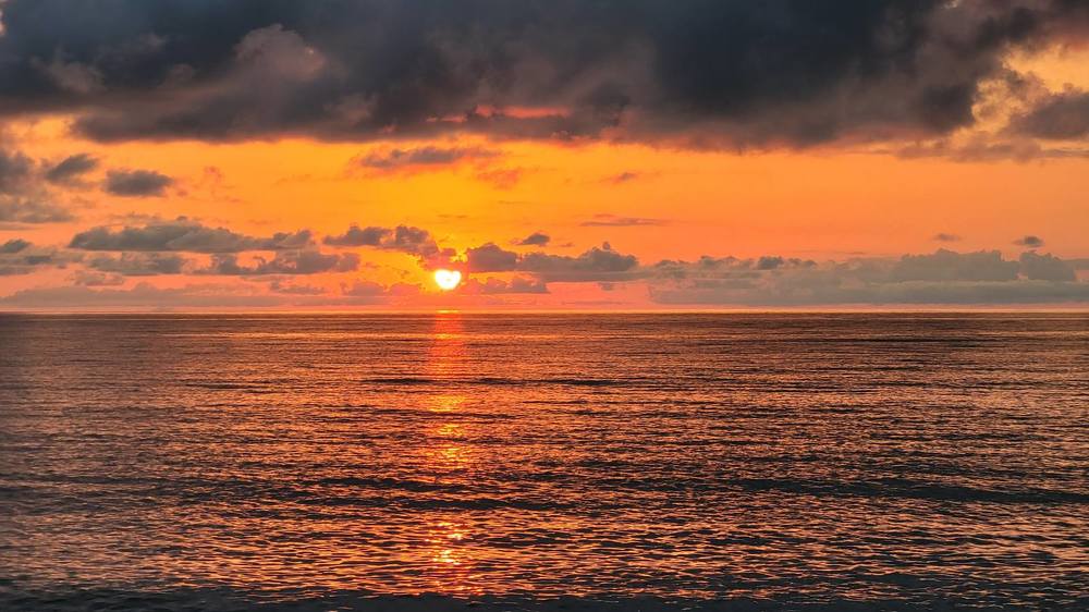 Photograph by Мария Курбан