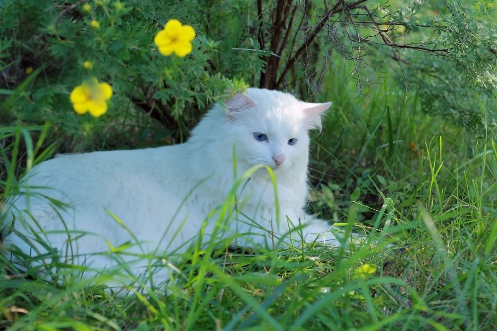 Photograph by Лайко Марина