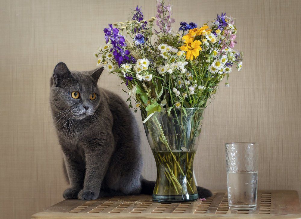 Photograph by Щербак Анатолий