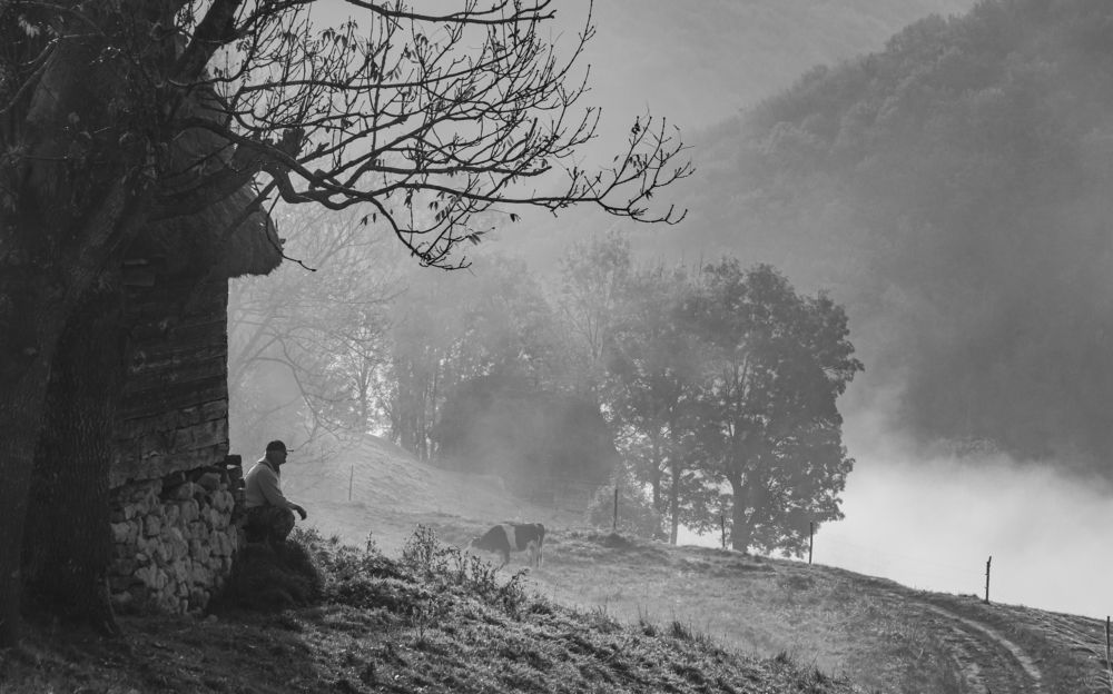 Фотография автора Dubb Tamara