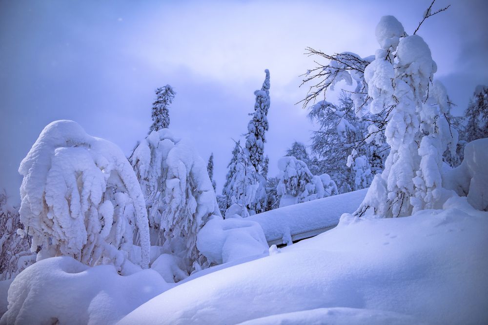 Photograph by Третьякова Анастасия