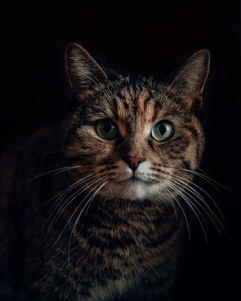 Photograph by Сергей Антонов