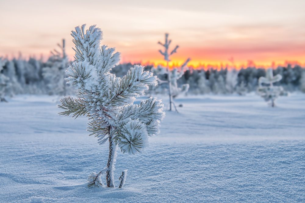 Photograph by Третьякова Анастасия