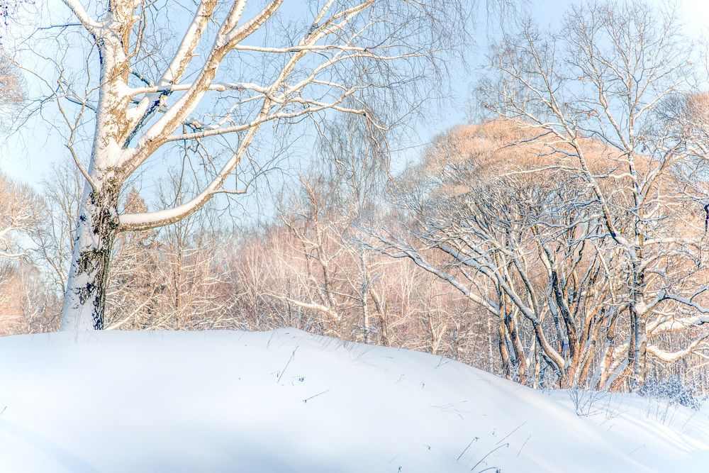 Photograph by Igor Bastrygin