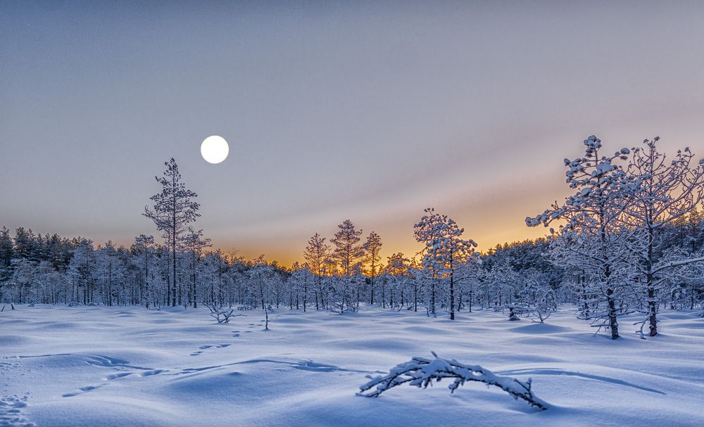 Безмолвие холода