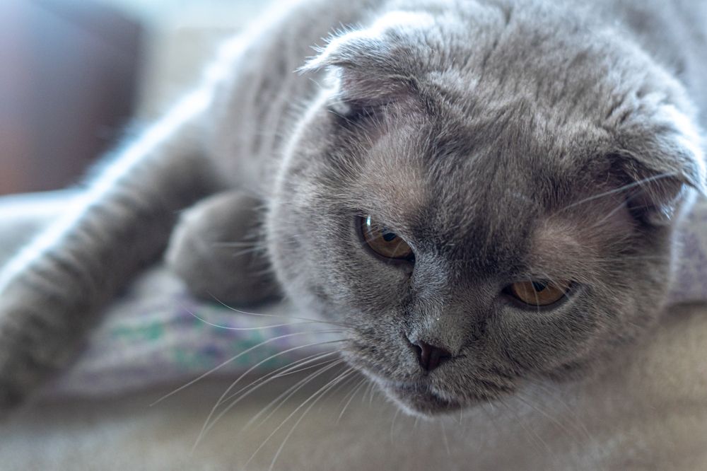 Photograph by С Павел