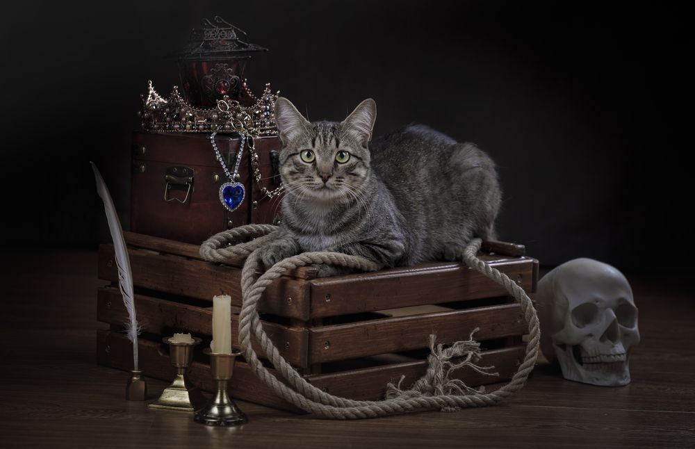 Photograph by Евгений Печенин