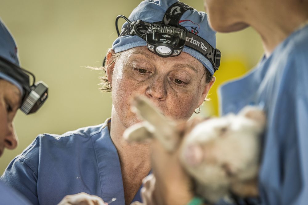 Photograph by Sarti Camilo