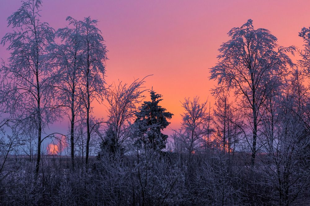 Photograph by Диана Бородзе