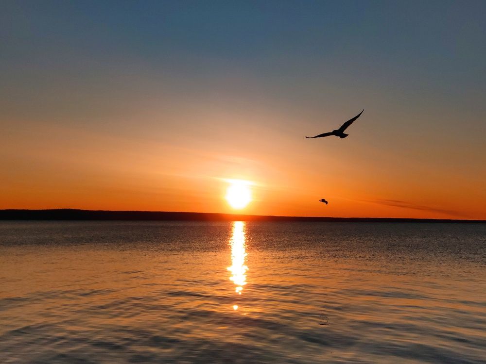 Photograph by Лев Кауфман