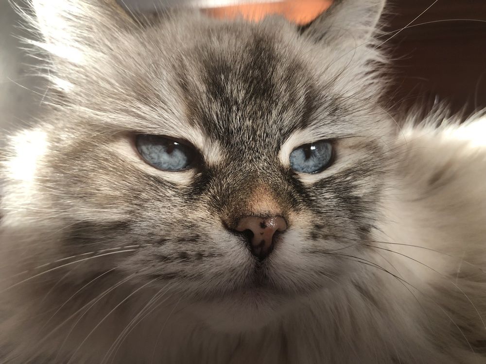 Photograph by Veronika Trubnikova