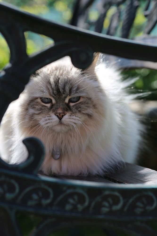 Photograph by Veronika Trubnikova