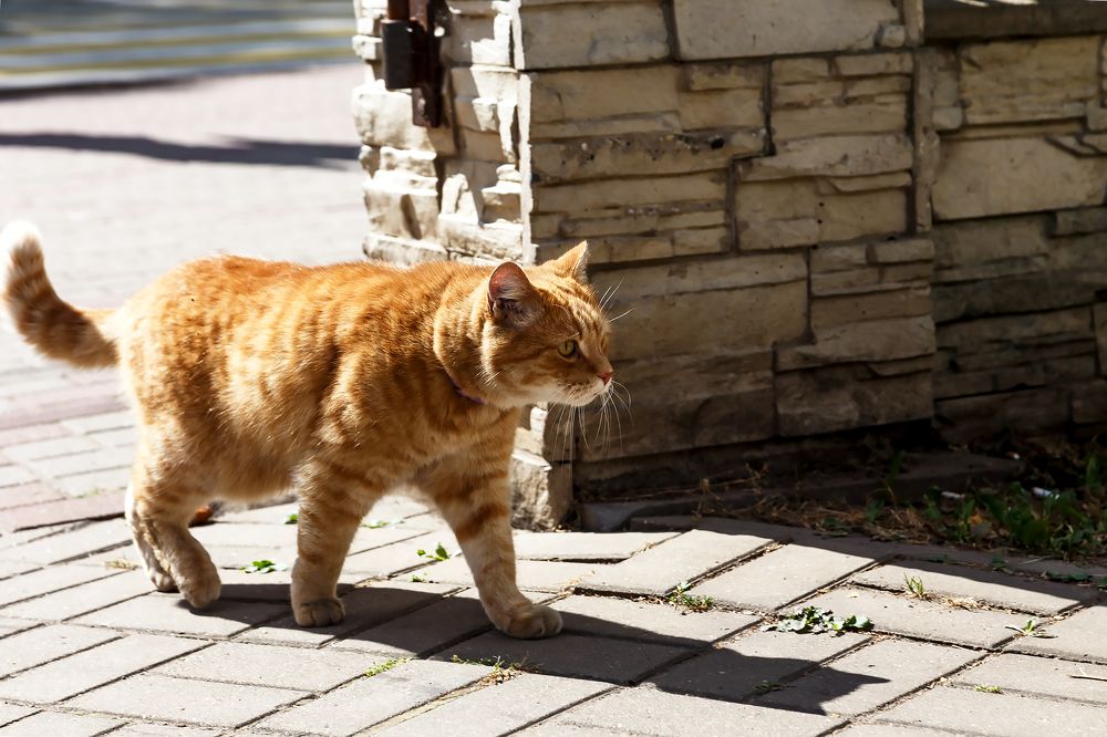 Photograph by Крышен Сергей