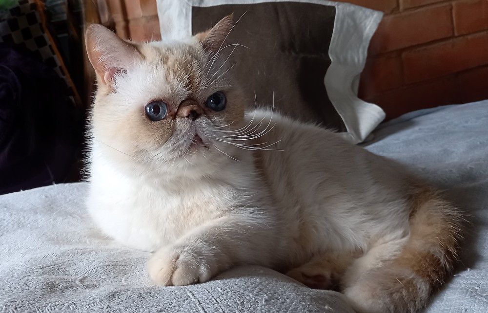 Photograph by Ирина Архипова