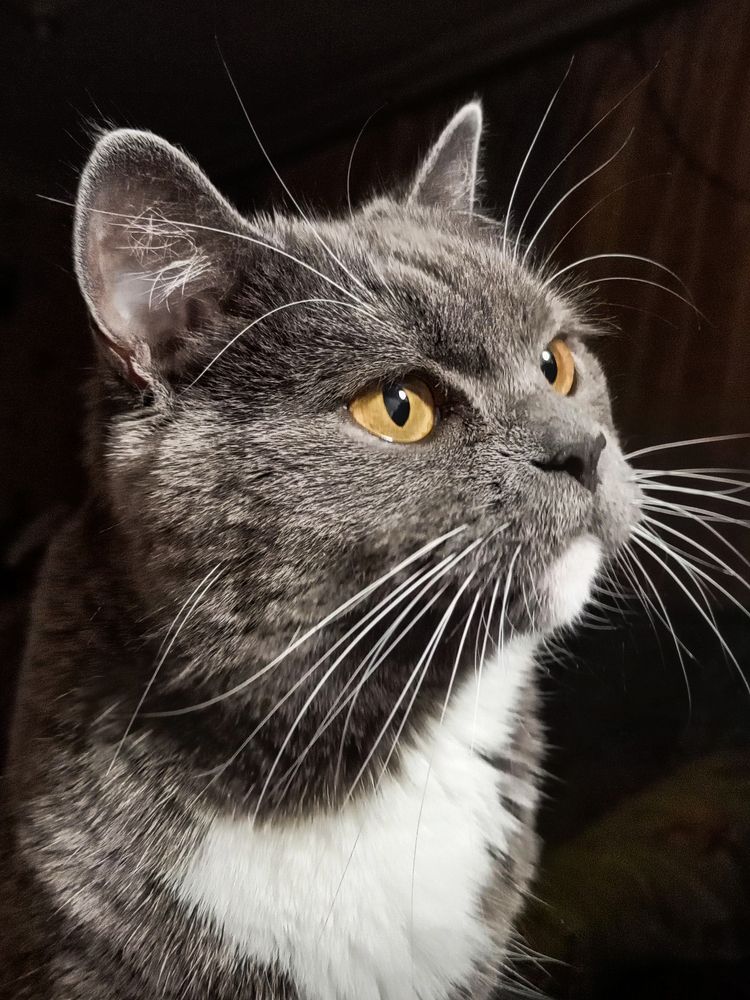 Photograph by Ирина Архипова