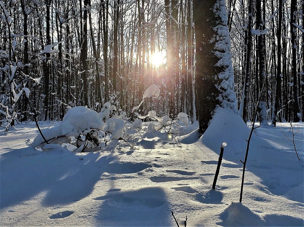 Photograph by Яна Галимуллина