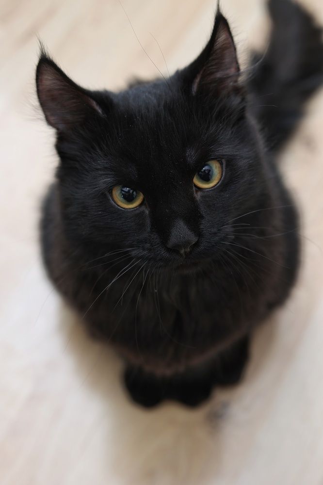 Глаза, в которых можно утонуть...