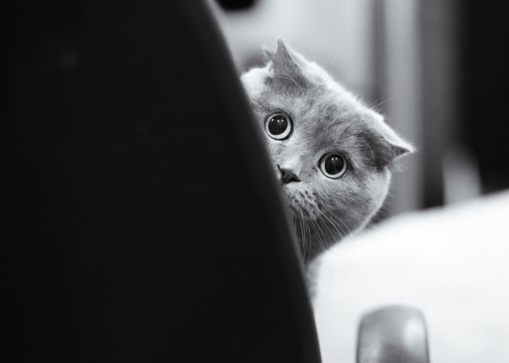 Photograph by Анна Чеснокова