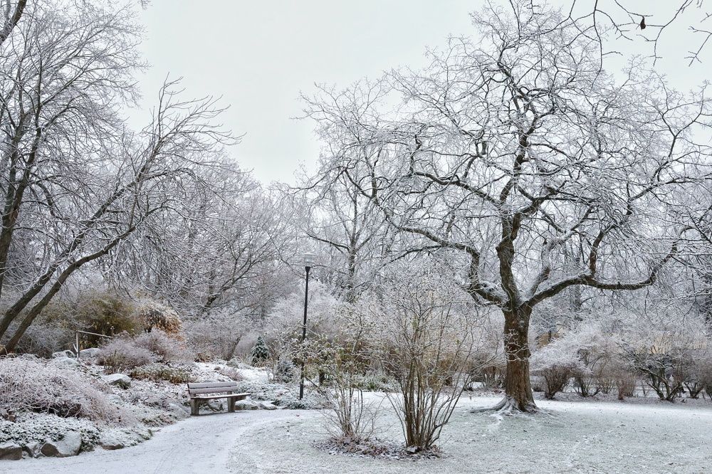 Photograph by Milena Paile