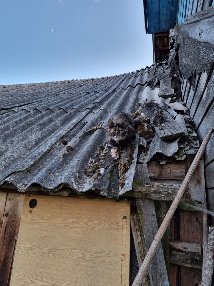 Photograph by Milena Paile