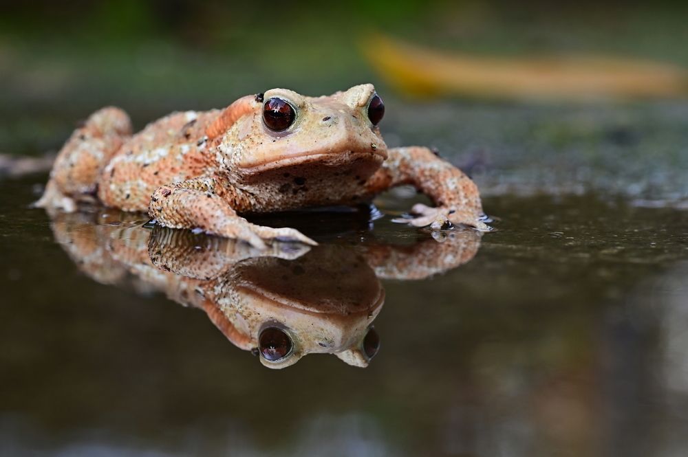 Photograph by Светлана Ивановна