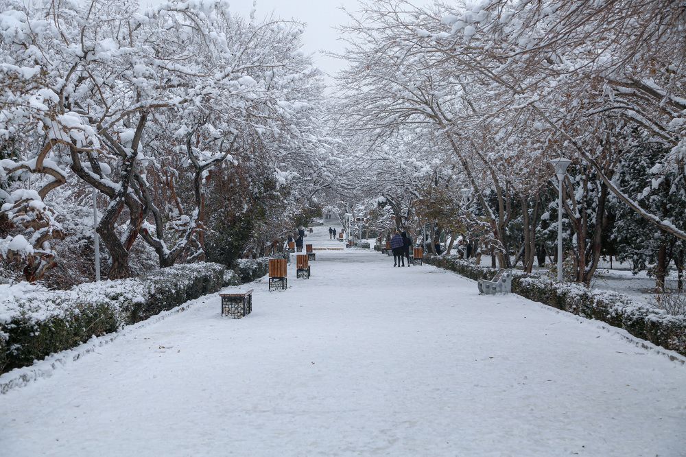 Photograph by Mohammadreza Majlesifar